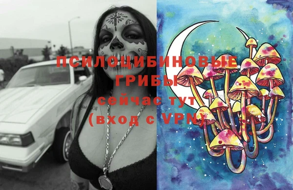 ALPHA PVP Богородск