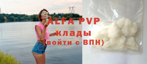 СК Богородицк
