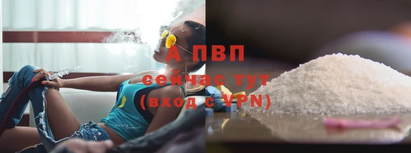 СК Богородицк
