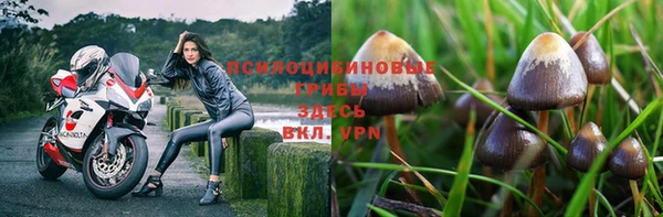первитин Белоозёрский