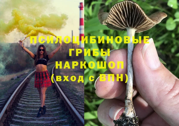 мдпв Белокуриха