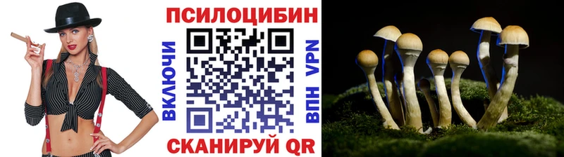 Псилоцибиновые грибы Magic Shrooms  купить наркотики сайты  Колпашево 